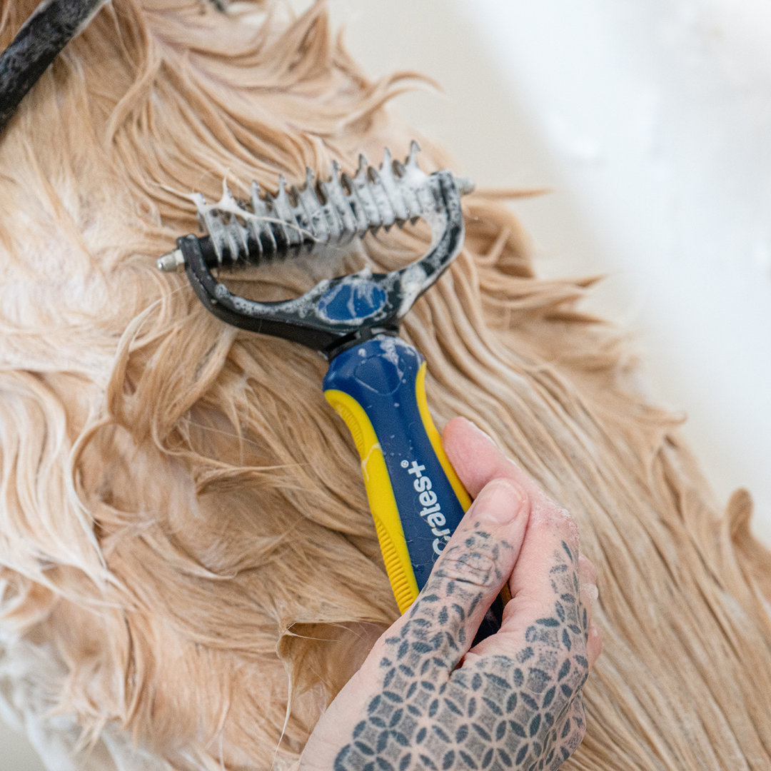 Professional Dog Stainless Steel Undercoat Rake for Deshedding, Dematting, Untangling