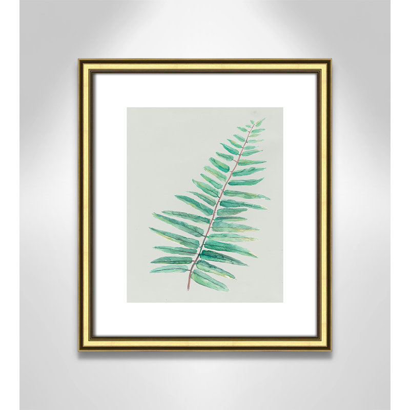 «Delicate Botanical I», reproduction sur papier encadrée, Cadre doré, H 15 po x l 13 po x P 0,875 po
