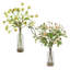 Uttermost Tranquility Lenten Rose Bouquets Set/2