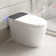 Intelligent Toilet with Advanced Functions for Hygienic and Convenient Use
