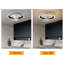Diany 18.5'' Ceiling Fan with LED Lights