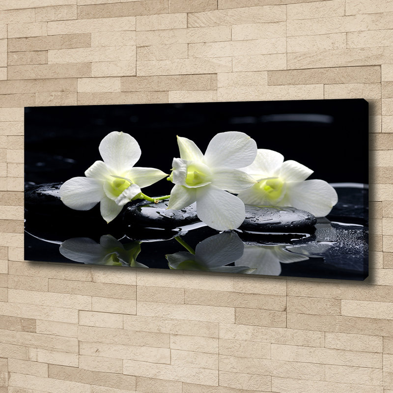 Orchid - Wrapped Canvas Print, 50cm H x 125cm W x 2cm D, Canvas