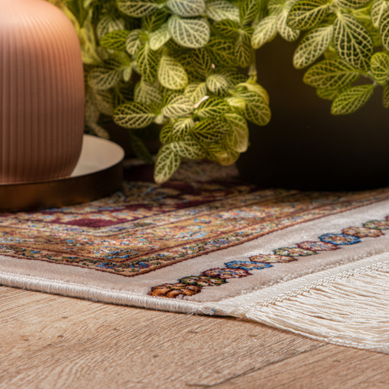 Athanas Oriental Area Rug, Rectangular 200 x 290cm