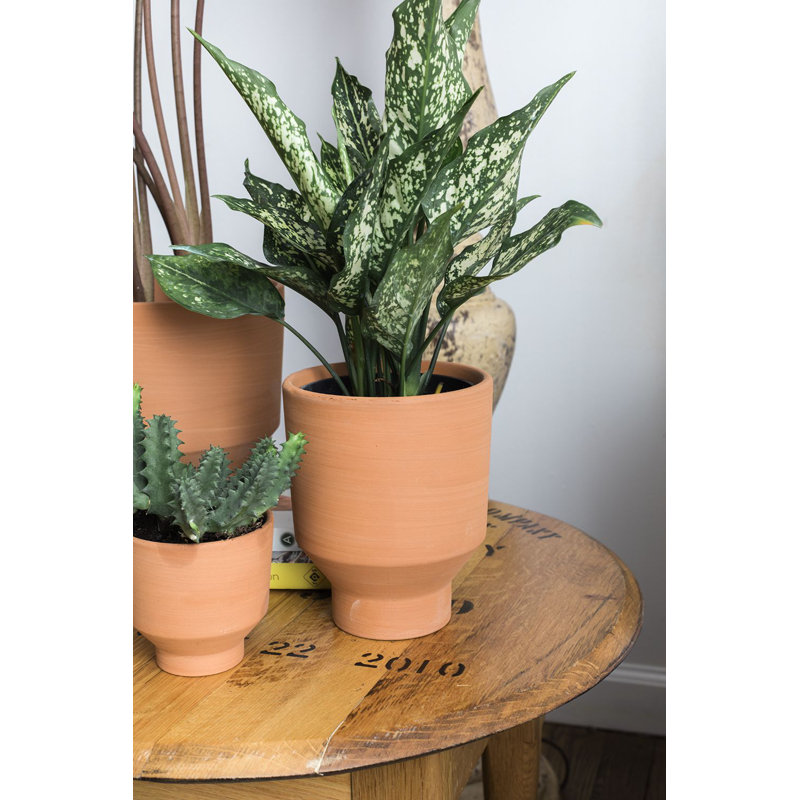 Pot à fleurs en céramique Gerrie, H 3,5 po x l 3,5 po x P 3,5 po