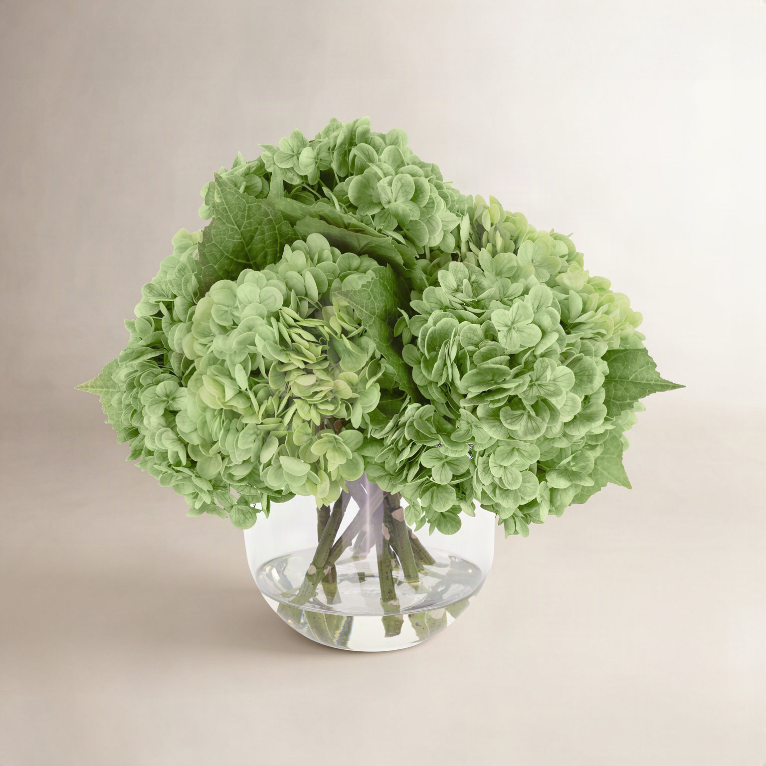 Lucretia Hydrangea Floral Arrangement, Green