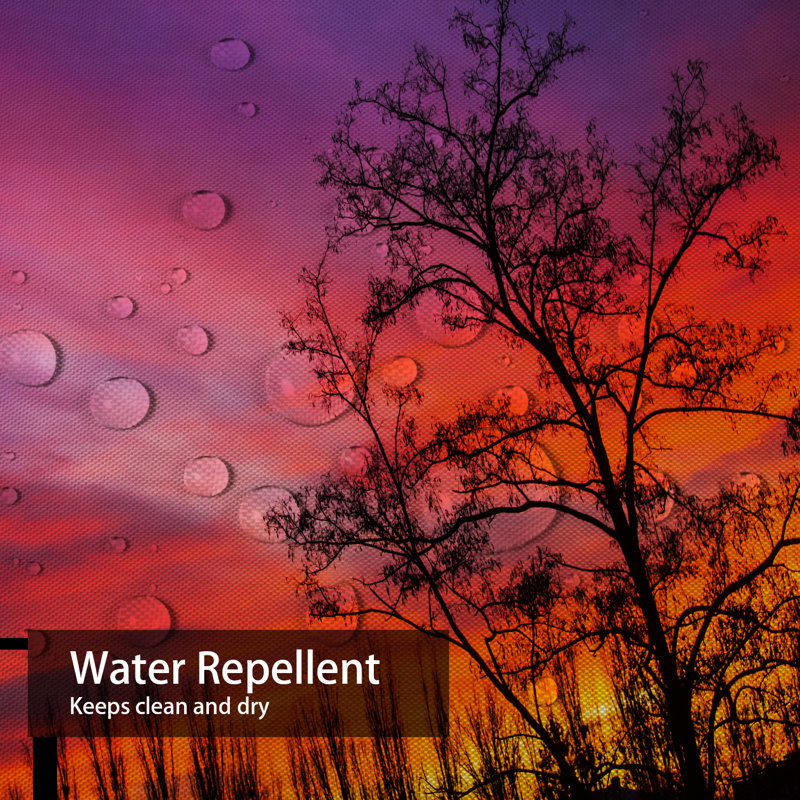 Sunset Red Purple Sky Beautiful Clouds Shower Curtain with 12 Hooks, L 72 po x l 78 po