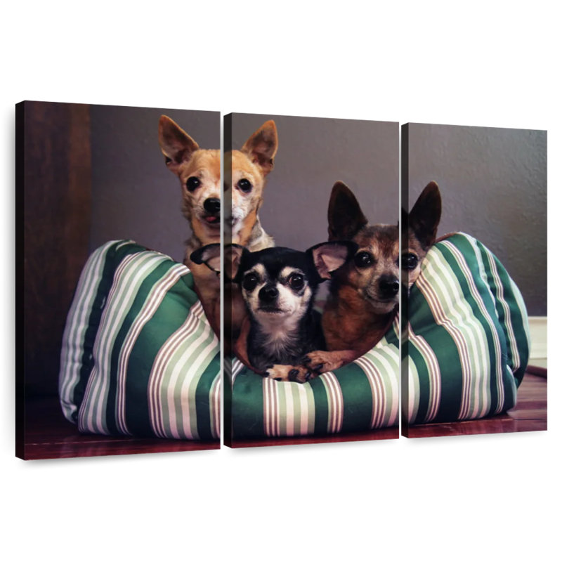 Chihuahua Friends