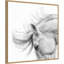 «Flair» par PHBurchett, reproduction d'art sur toile encadrée-109561808
