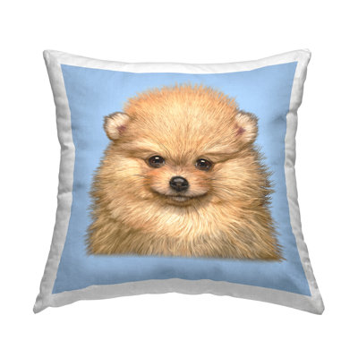 Throw Pillow
