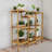 Mikayla Plant Stand
