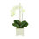 Orchid Floral Arrangement in Pot