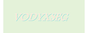 VODYXSEG Logo