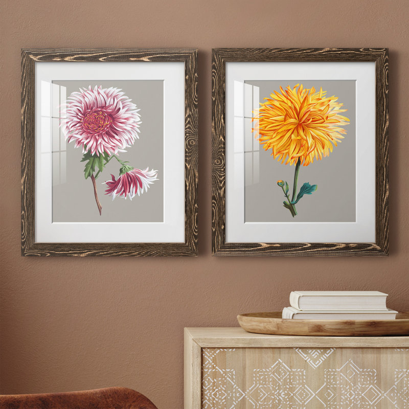 «Chrysanthemum on Grey III», ensemble de 2 reproductions d'art, H 24 po x l 36 po x P 1,5 po, Papier, cadre noyer, Blanc