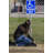 US Weight Sign Kit Post Scratch Resistant Fillable Base and Easy-To-Use Brackets for Signs