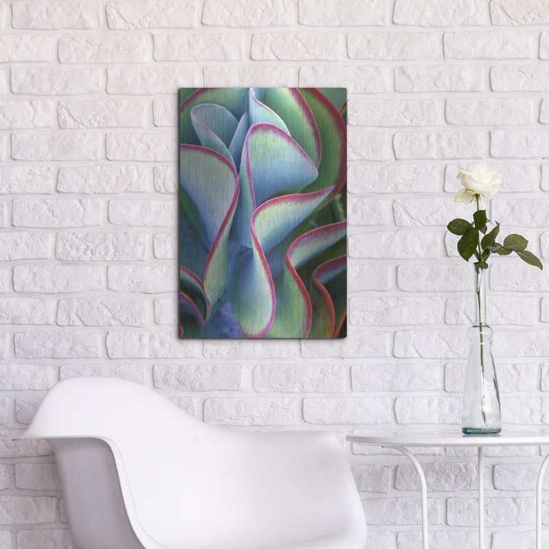 " Succulent VII " by Dennis Frates, 24" H x 16" W