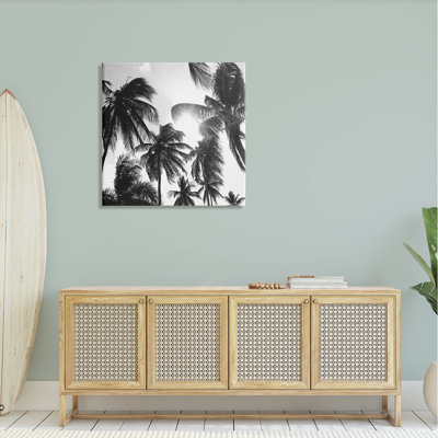 Sunlit Palm Tree, photographie d'art numérique par Natalie Carpentieri