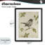 «Bird Scene over Neutral», reproduction encadrée sous verre, conception de Lanie Loreth-1792546491-1792546493