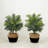 3ft. Artificial Areca Palm Tree with Handmade Basket DIY KIT