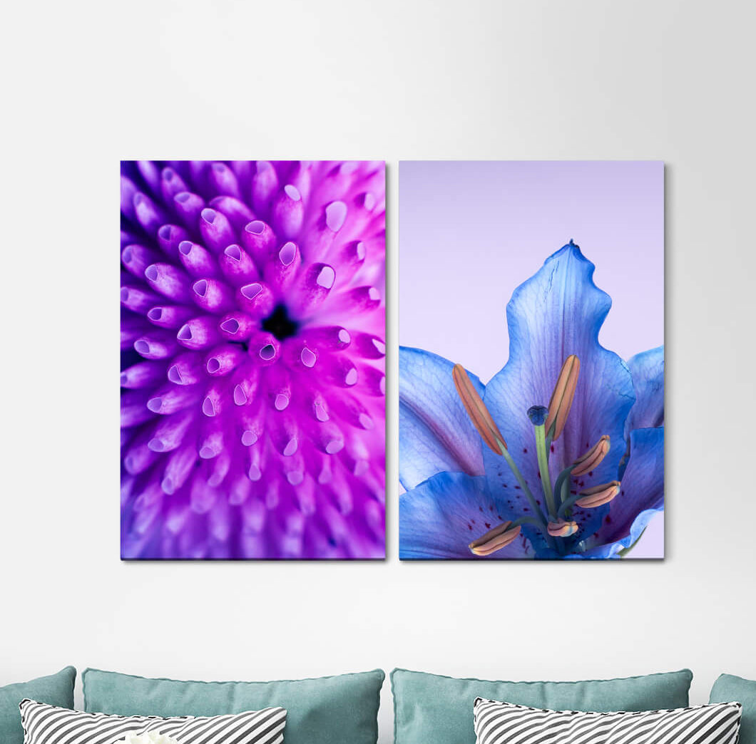 2-tlg. Leinwandbilder-Set - Fotografie „Orchid Flowers Summer Blue Brightening Lily”