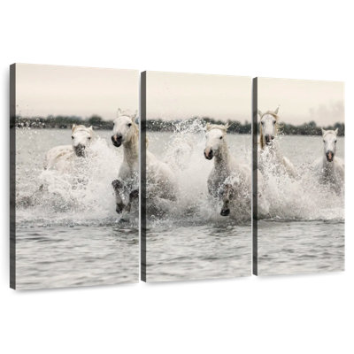 Chevaux de Camargue blancs qui courent sur la plage III