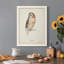 Toile encadrée de qualité supérieure Tawny Owl - prête à être accrochée-141755257-141755256