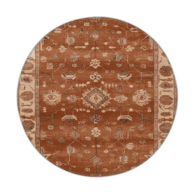 Tapis intérieur et extérieur brun Overdyed