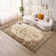 Alma Vintage Look Shag Area Rug