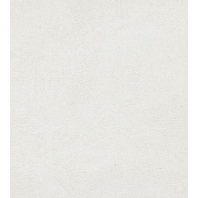 Essential Leathers Sarabelle Suede Fabric