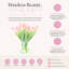 Tulipes disposées dans un vase en verre