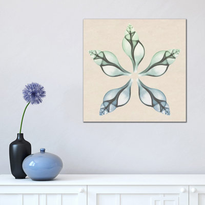 Seaside Star I by Albert Koetsier - Wrapped Canvas Print