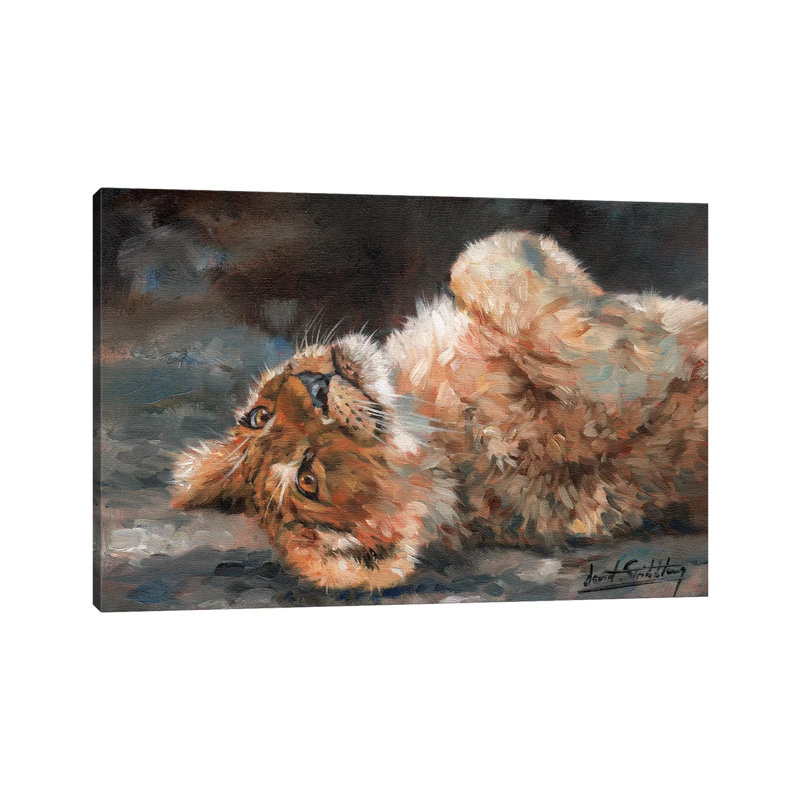 Lion Cub On Back by David Stribbling - Gallery-Wrapped Canvas Giclée on Canvas, 20.32 cm H x 30.48 cm W, Canvas