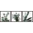 " Evergreen Shrub " 3 - Pieces-1484185528