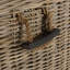 Bay Isle Home Amer Rattan Decorative Basket