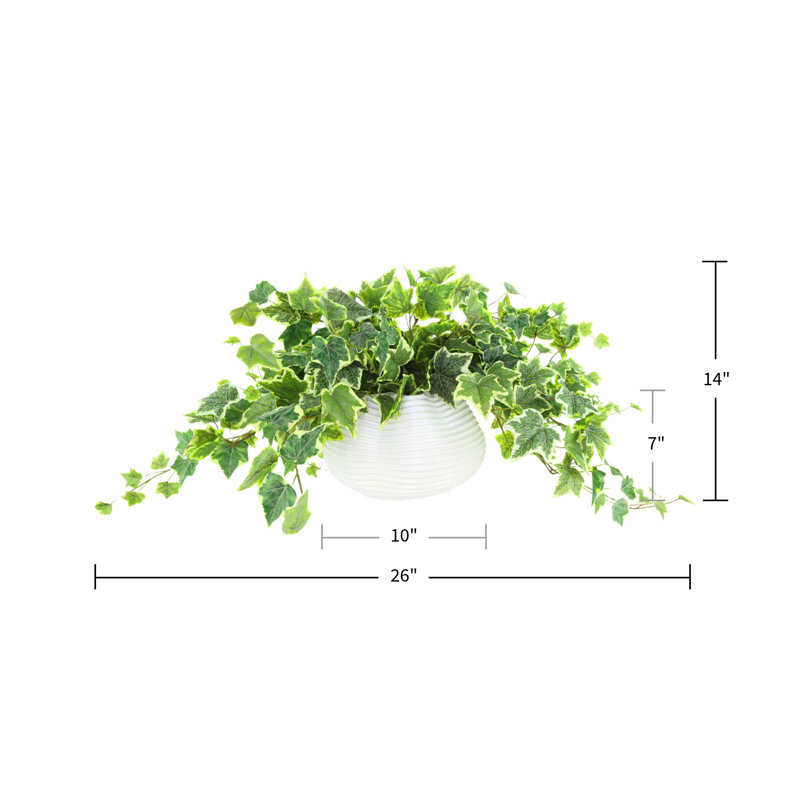 Jenner Faux Ivy Plant in Glass Vase