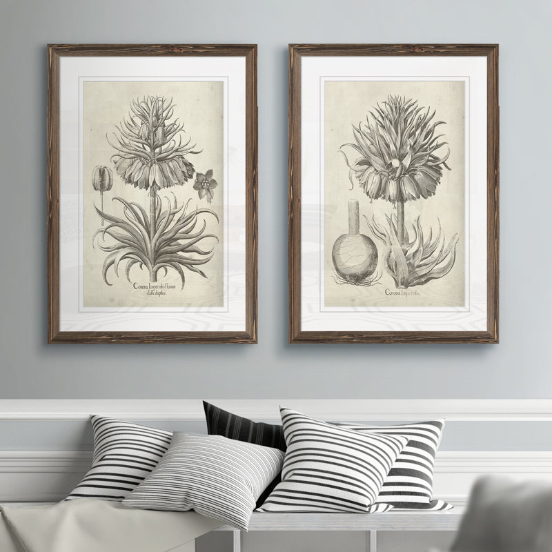«Fresco Crown Imperial II», ensemble de 2 reproductions d'art encadrées, H 24 po x l 18 po x P 1,25 po, Cadre espresso, Blanc