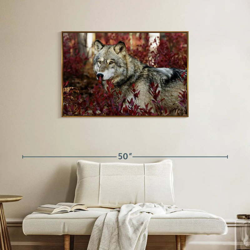 Loup caché, Cadre flottant doré, 37 po x 25 po