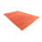 Noe Red Rug