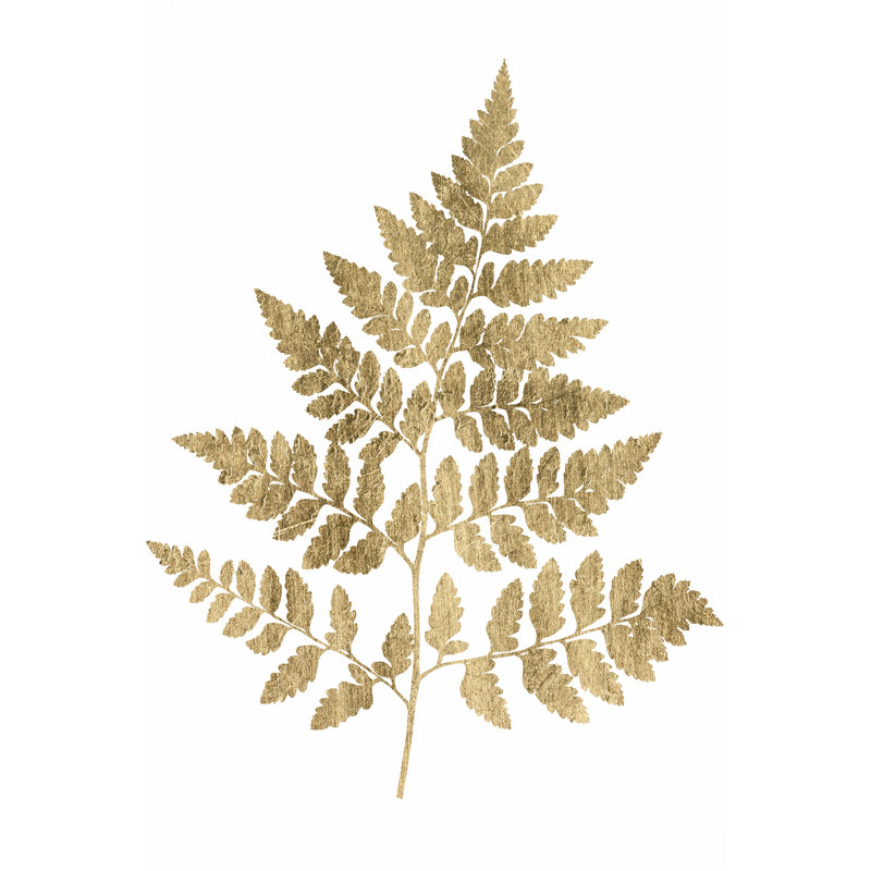 Graphic Gold Fern I by Studio W - Wrapped Canvas Print, 46cm H x 30cm W x 3.8cm D