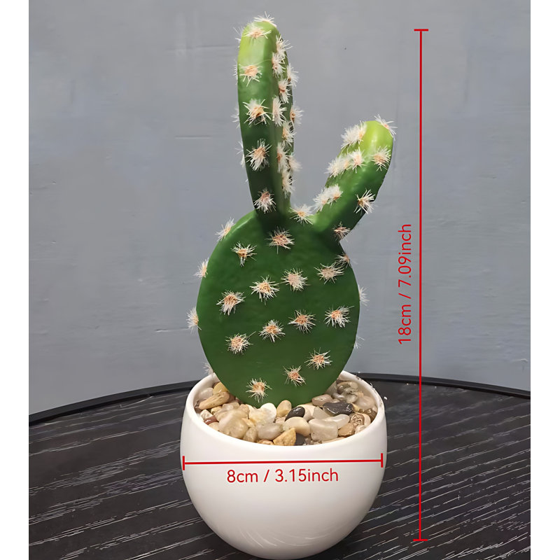 Cactus 7,08 po