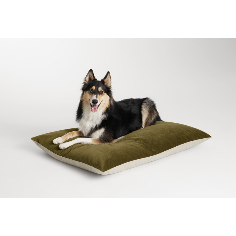 Signal Polyester Dog Pillow/Classic, Copper Velvet, 28" H x 35" W