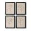 Floral Contour Study I - Ensemble de 4 reproductions d'art sur toile-708852778-708852780