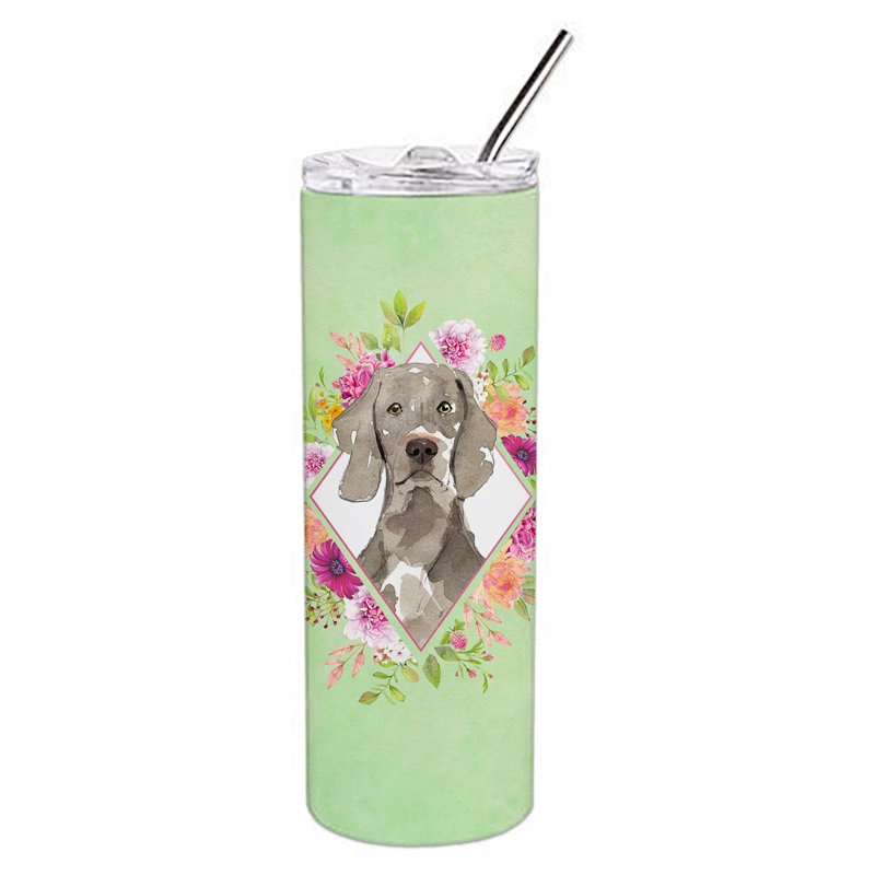 E23BF9F8391D466E9CA4F8DFEBD9A7DB de verre 20 oz à double paroi en acier inoxydable chiot, Braque de Weimar brun, Vert