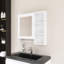 29" Rectangular MDF Medicine Cabinet With Mirror-286401649
