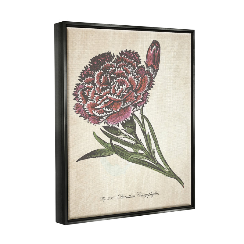 «Botanical Carnation Flower», art mural rouge sur toile par The Evening, Cadre flottant noir de jais