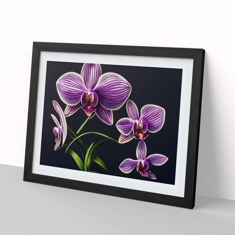 Dreamlike Orchid Flowers - Single Picture Frame Print, Black, 25cm H x 34cm W