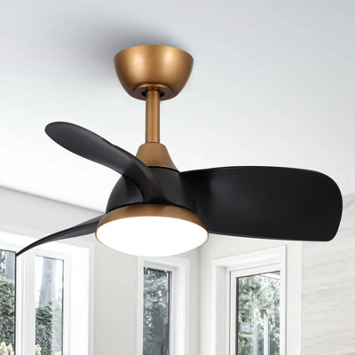 Ventilateur de plafond à 3 pales de 28 po avec télécommande et ensemble d'éclairage Haywa