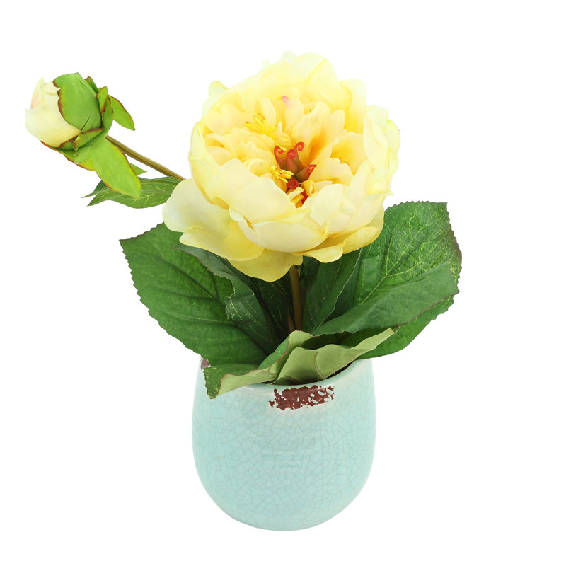 Peony in Ceramic Vase