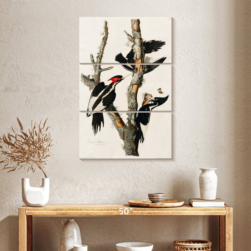 Brampt Ivory Billed Woodpecker, 38" H x 24" W