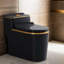 Toilette anti-odeur silencieuse 1,46 gallons noire à double chasse (siège inclus)