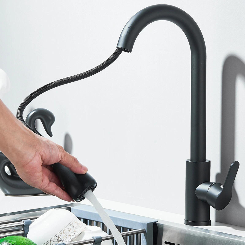 Belfry Kitchen Pull Out Kitchen Faucet